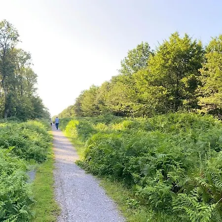 Дом отдыха Chez Meme D'hecq Hecq