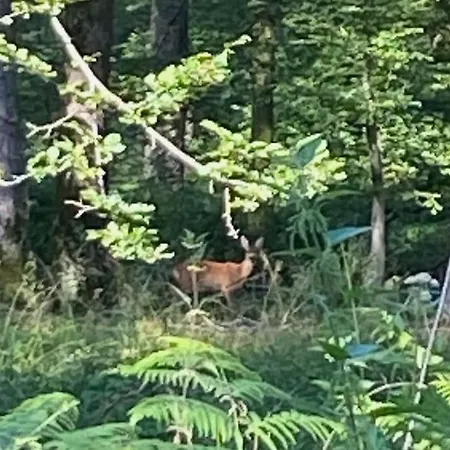 Chez Meme D'hecq Дом отдыха