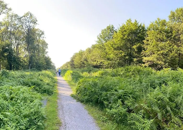 Casa vacanze Chez Mémé D'hecq Hecq