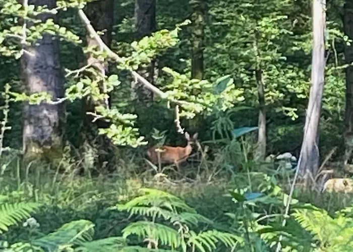 Chez Mémé D'hecq Casa vacanze